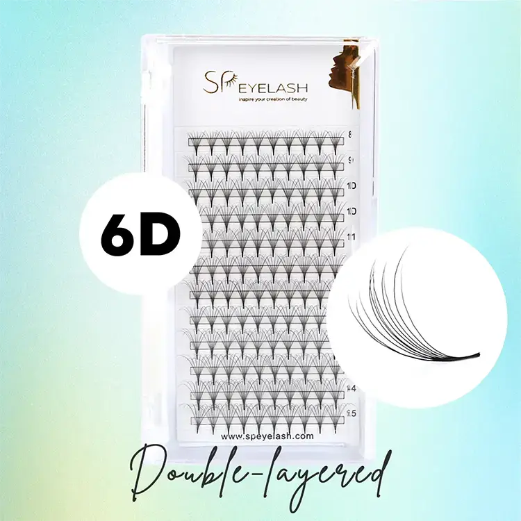 6d Doppelschichtkamellien -Fans