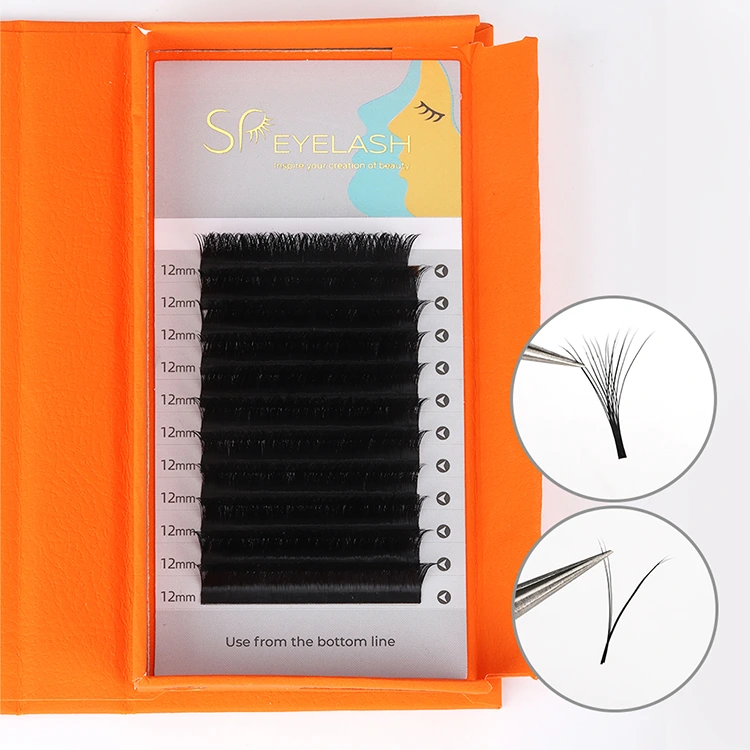 Cilia v Wave Wimpern